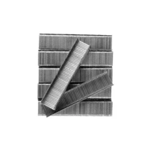 Grampo para Grampeador Número 6 com 1000 Peças - Dtools