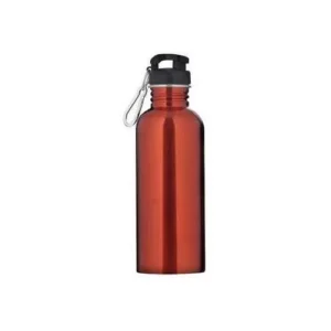Garrafa Aço Inox 750ml Water To Go Sortida Mor