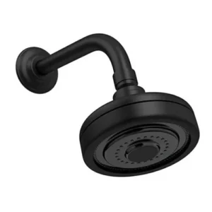 Ducha Auto Limpante Redonda Preto Fosco 216004 Rainha