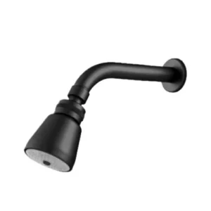 Ducha Articulavel Preto Fosco 215698 Rainha