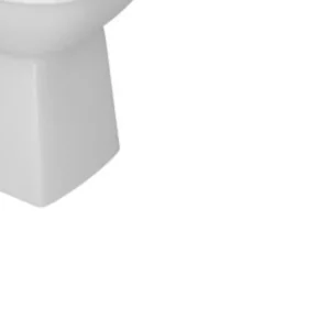 Bacia Convencional - Imagem 5