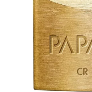 Cadeado Cr50 | Papaiz - Imagem 4