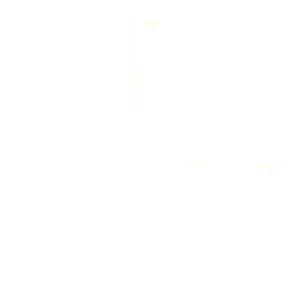 Torneira de Parede para Cozinha Leão Cromada 1168 C17 - Imagem 4