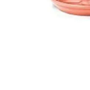 Prato 04 Cor Cerâmica - Nutriplan - Imagem 4