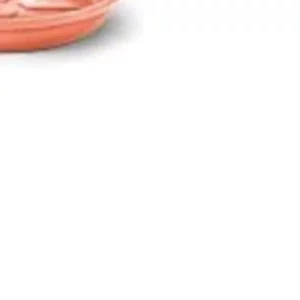 Prato 04 Cor Cerâmica - Nutriplan - Imagem 5