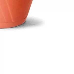 Cuia Nobre 03 com Prato Cerâmica - Imagem 5