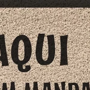 Capacho Vinilico 60x40cm Aqui Quem Manda é o Gato - Imagem 3