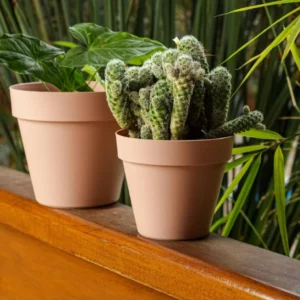 Vaso Unique Cimento N16 - Imagem 4